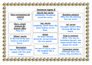 D sentence types