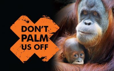Palm Oil Campaign